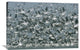 "American Avocet Flock Erupting Into Flight, North America" Artwork, 36" x 24"