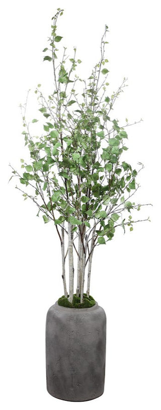 Uttermost Aldis Potted River Birch, 60146