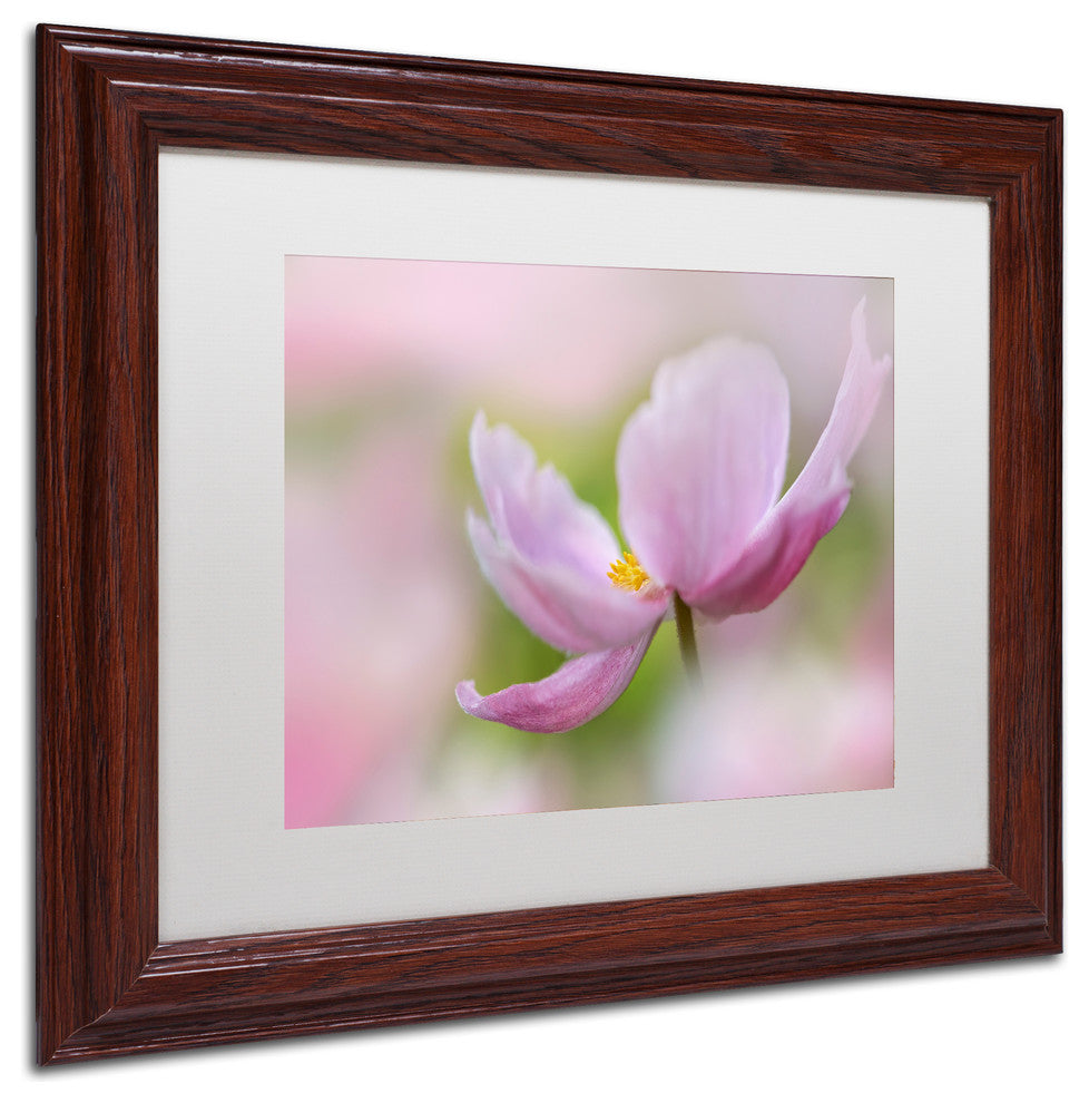 Cora Niele 'Pink Anemone' Matted Framed Art