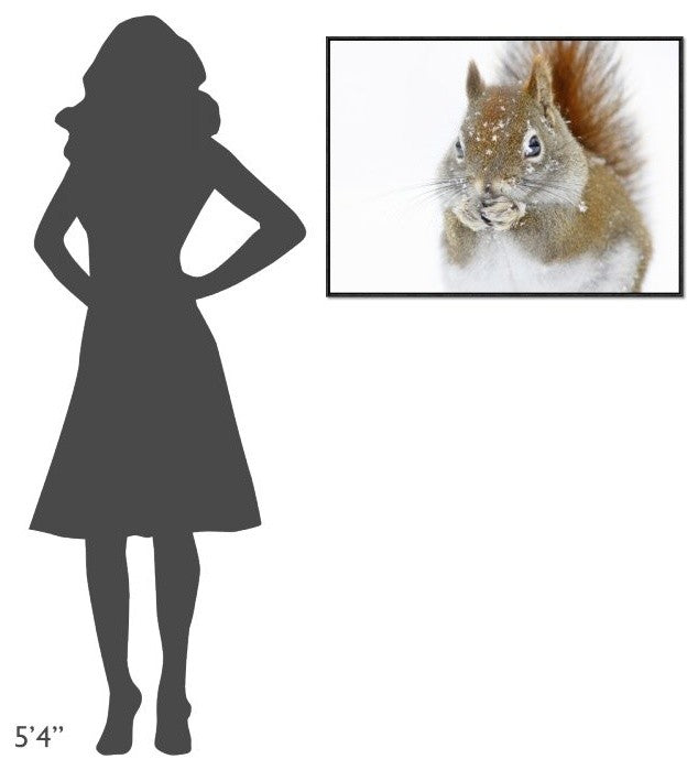"Christmas Squirrel" Framed Canvas Giclee by Mircea Costina, 33x25"