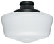 Hunter Damp-Rated Traditional Globe Light Kit in Black