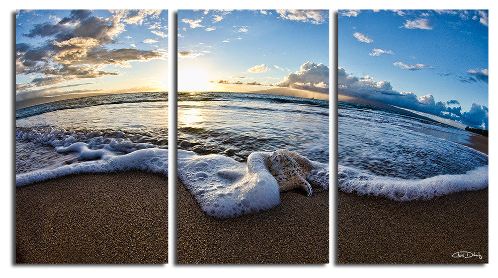 Ready2HangArt Christopher Doherty 'Sea Star II' 3-piece Canvas Wall Art