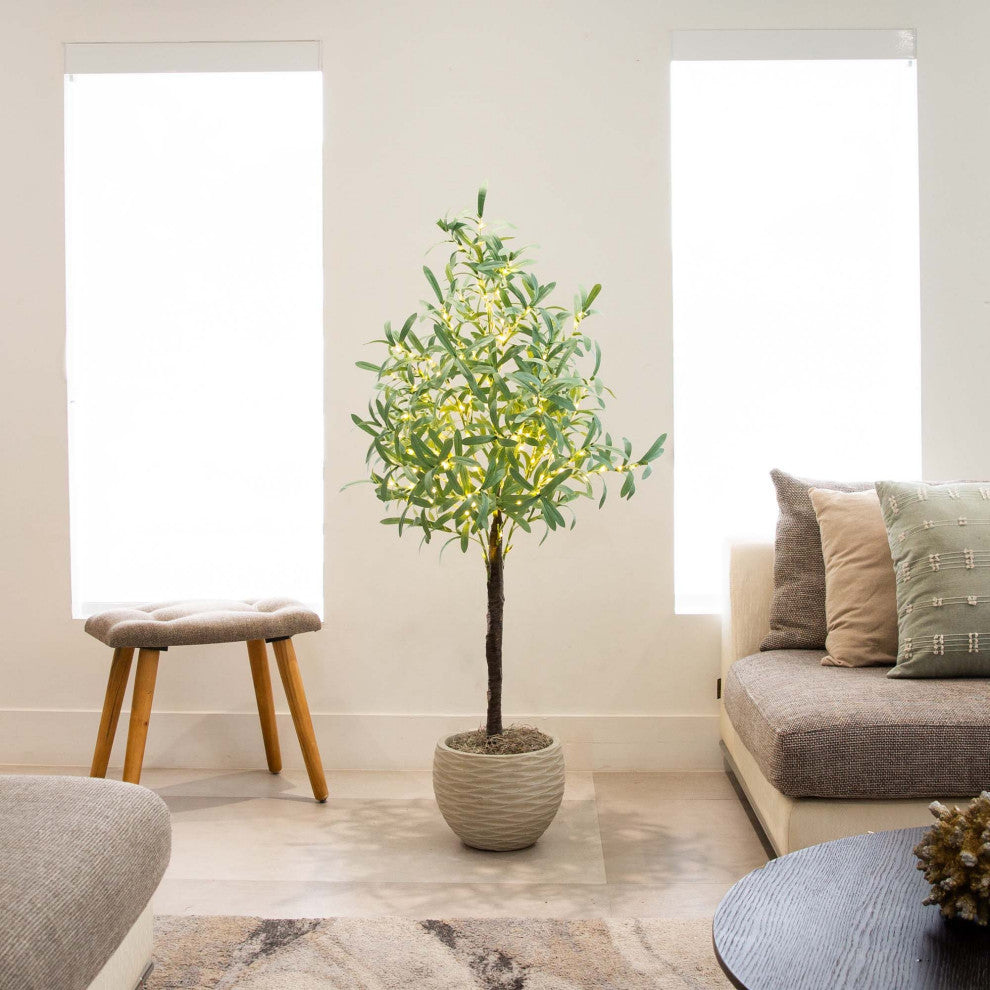 Tree positioned in a living room with couch and windows; lifestyle image.