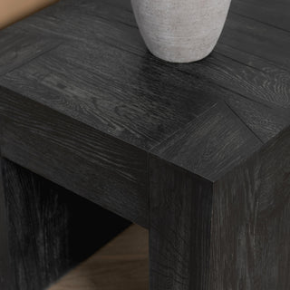 Bristol Cracked Oak 24" End Table by Kosas Home, Meadow Black