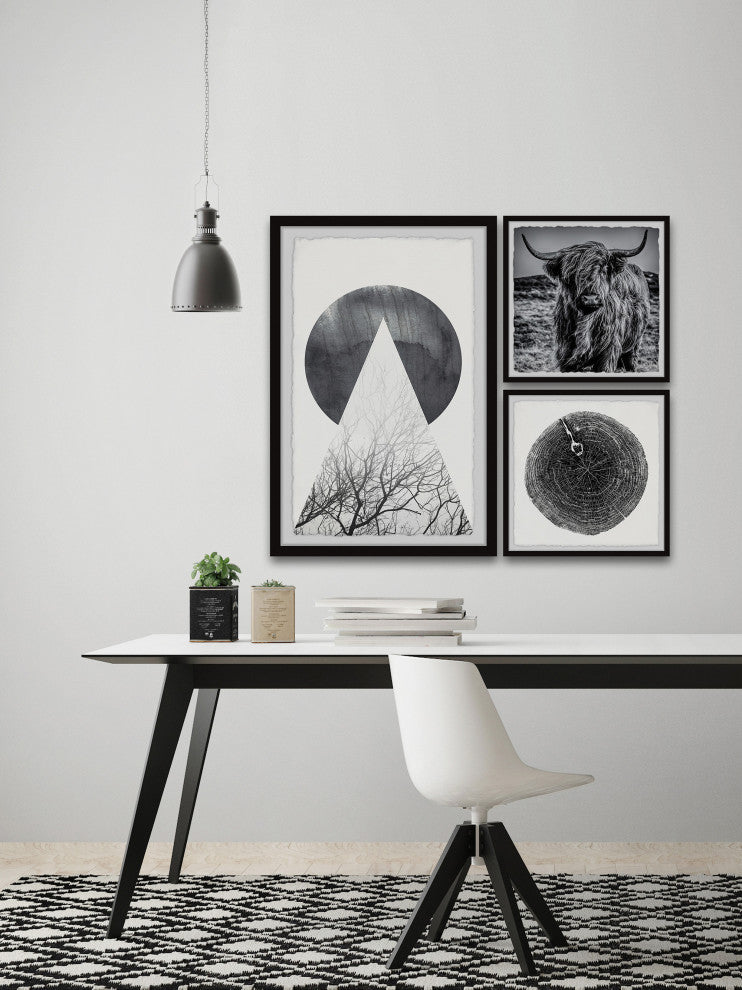 Hairy Cow Triptych, 3-Piece Set