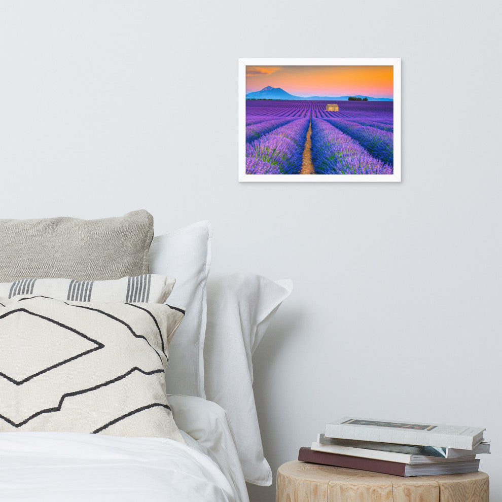 Blooming Lavender Field and Sunset Floral Landscape Framed Photo Wall Art Prints, White, 12" X 16"
