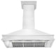ZLINE 48" Designer Series Wall Mount Range Hood, DuraSnow, 8656S-48