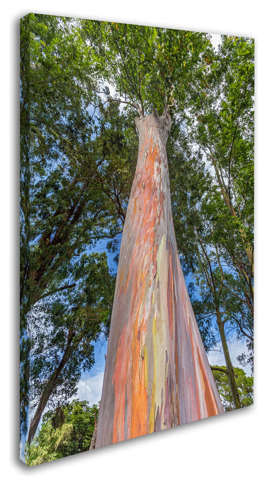 Pierre Leclerc 'Rainbow Tree' Canvas Art, 19x12