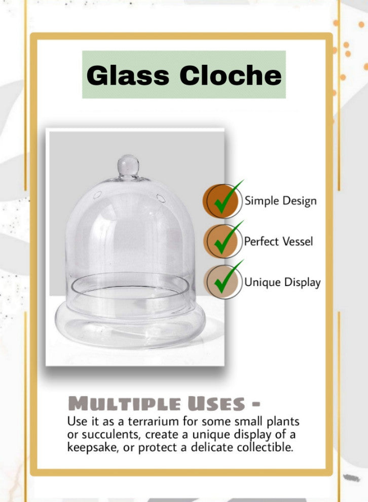 Serene Spaces Living Glass Cloche, Ideal as a Terrarium