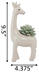 9.5" Tall Giraffe Ceramic Succ