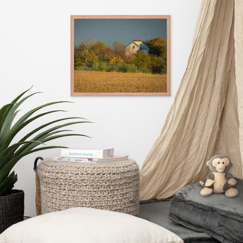Abandoned Barn In The Trees Framed Photo Paper Wall Art Prints, Red Oak, 16" X 20"