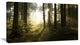 "Early Morning Sun in Misty Forest" Landscape Canvas Photo Print, 40"x20"