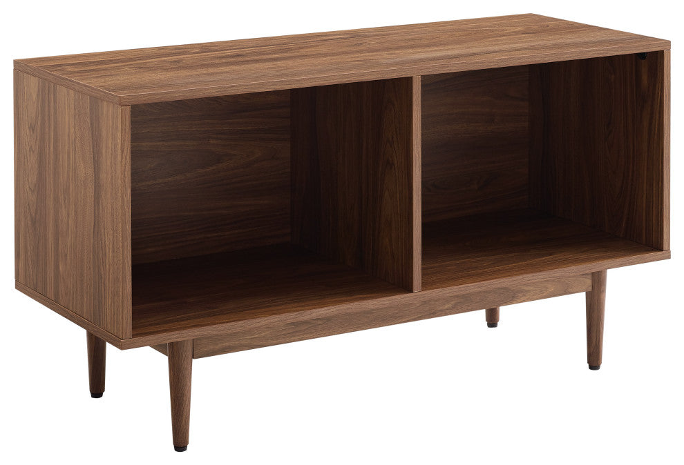 Liam Medium Record Storage Console Cabinet Walnut