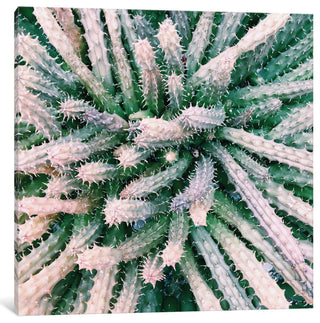 "Prick" by Chelsea Victoria, 12x12x1.5