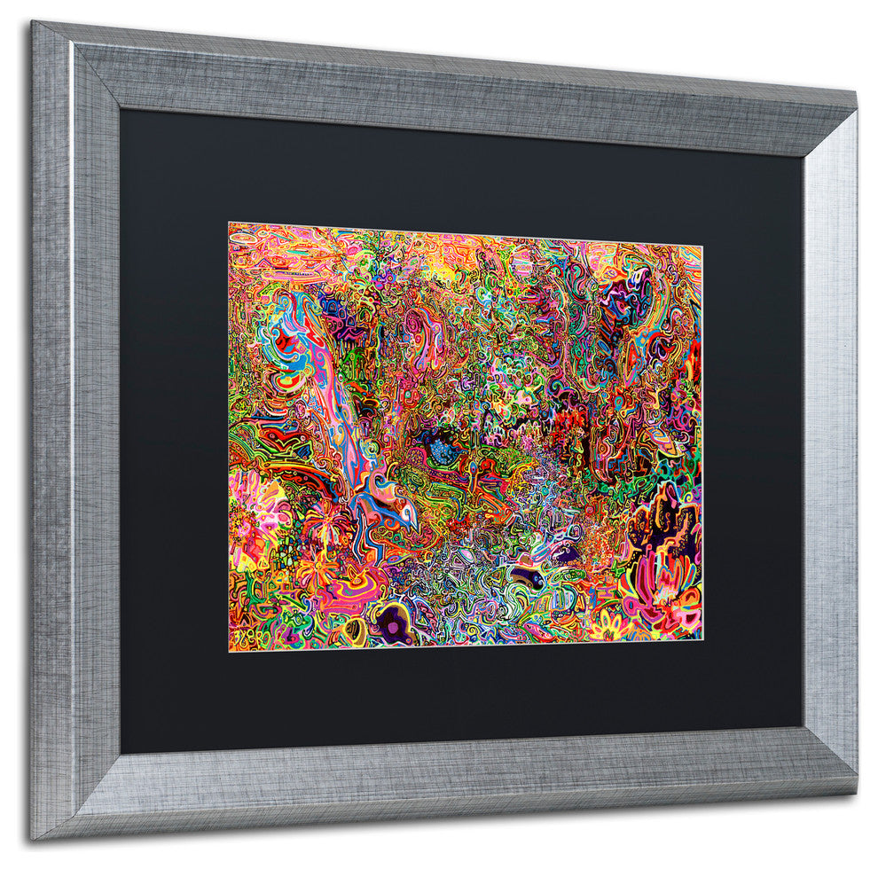 Josh Byer 'The Dove And The Crow' Art, Silver Frame, Black Mat, 20x16