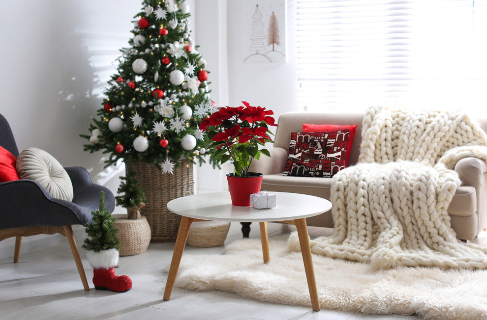 Christmas Burgandy Crazy Merry Christmas Polyester Throw Pillow, 20"x20"