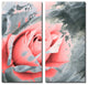 Ready2HangArt 'Painted Petals XLVIIB' 2-PC Canvas Art Set