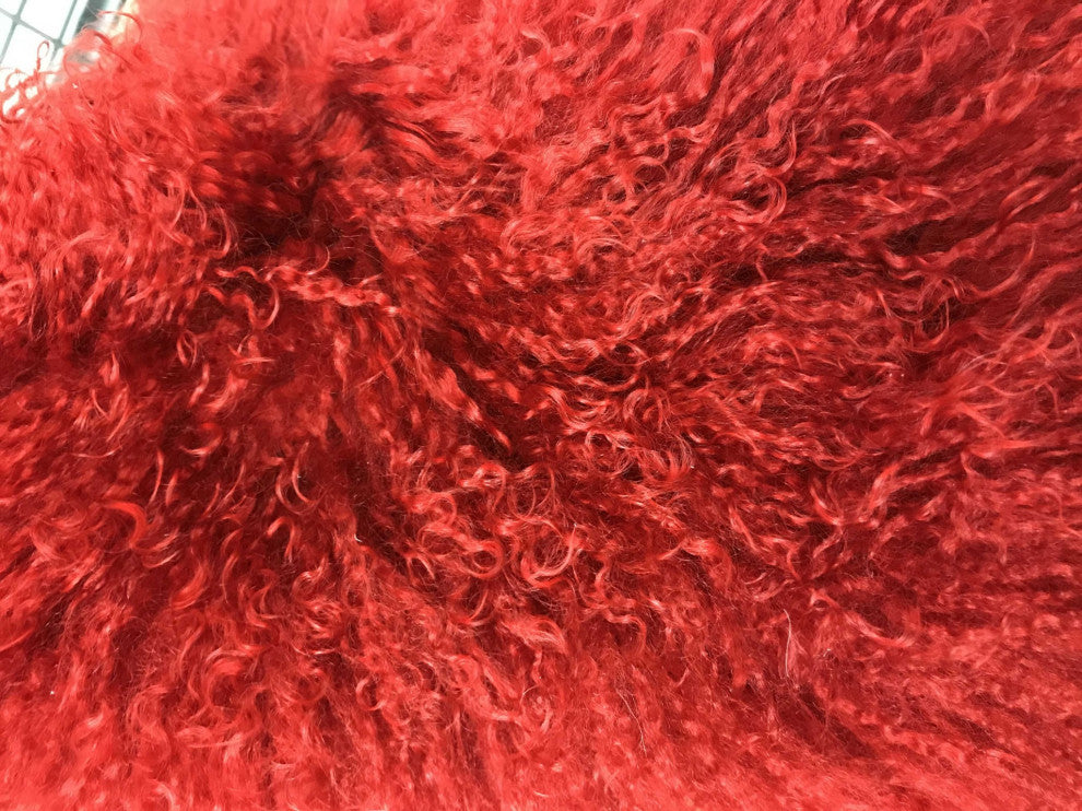HomeRoots 20" Red Genuine Tibetan Lamb Fur Pillow With Microsuede Backing