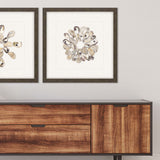 Oyster Shell II Artwork