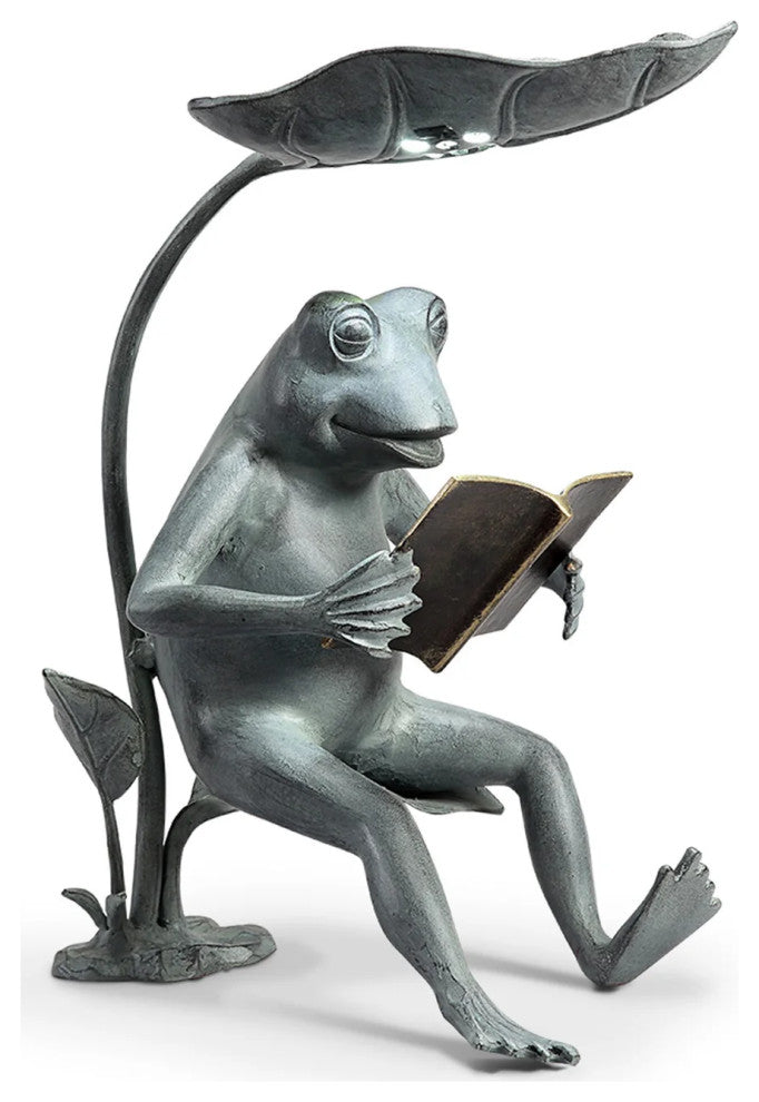 Reading Frog Birdfeeder with LED Light