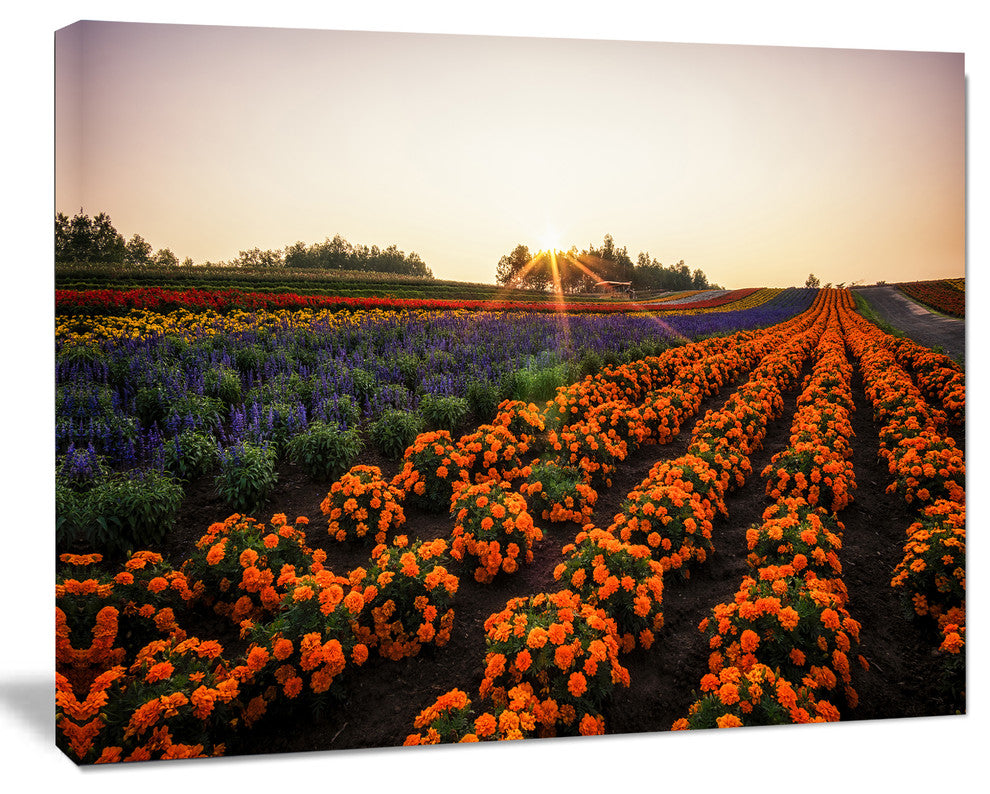 Beautiful Japanese Flower Farm, Floral Canvas Art Print, 60"x28"
