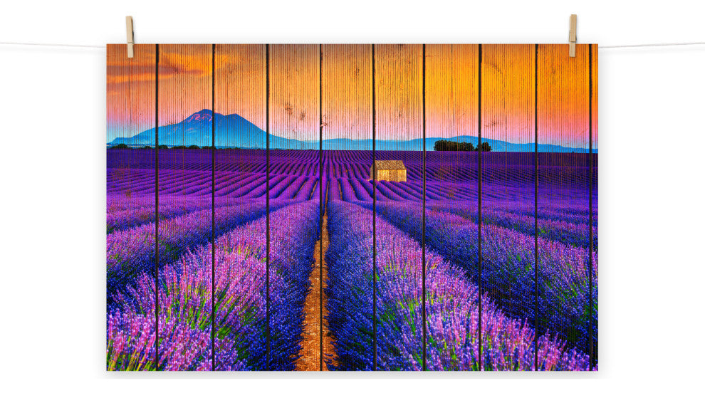 Faux Wood Lavender Fields and Sunset Landscape Unframed Wall Art Prints, 11" X 14"