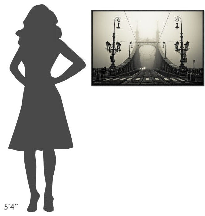 "The Bridge" Framed Canvas Giclee by Arminmarten, 37x25"