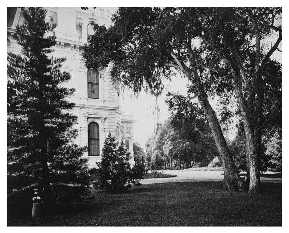 "Thurlow Lodge - Lawn and House. From Barron Cluster" Paper Art, 22"x18"