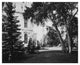 "Thurlow Lodge - Lawn and House. From Barron Cluster" Paper Art, 22"x18"
