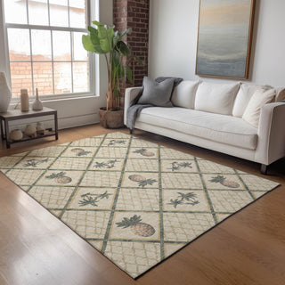 Addison Premium Washable Mayfield AMF162 beige 8' x 10' Rug