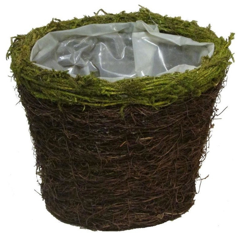 Natural Grapevine Moss Rim 6" Pot W/ Soft Liner