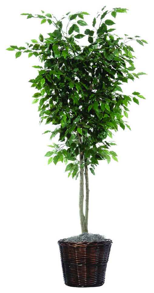 Vickerman Ficus Deluxe Tree, 6'