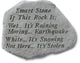 "Smart Stone" Garden Stone