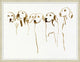 Pups, Giclee Reproduction Artwork