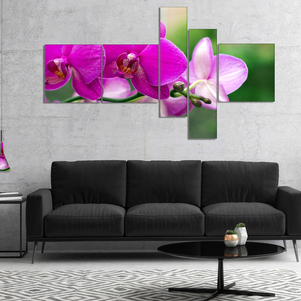 Beautiful Orchid Flowers on Green, Floral Canvas Print, 60"x32", 5 panels