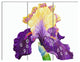 Blooming Blue Yellow Iris, Floral Triptych Canvas Art print, 36x28, 3 Panels