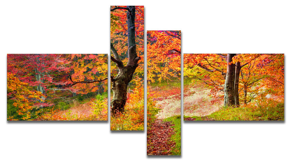 Bright Colorful Fall Trees in Forest, Landscape Canvas Print, 60"x32", 4 panels
