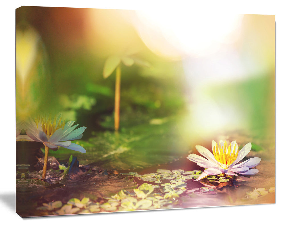 Lotus Flowers on Green Background, Large Flower Canvas Art Print, 20"x12"