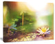Lotus Flowers on Green Background, Large Flower Canvas Art Print, 20"x12"