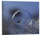 "Blue Bubble Morning" Stretched Canvas Giclee by Kent Mathiesen, 40x37"