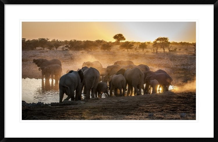 "Elephant Huddle" Framed Digital Print by Simon Van Ooijen, 38x25"