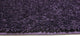 Kids Crazy Carpet Home & School Area Rugs, People Pet Friendly, Nobility, 6'x12'