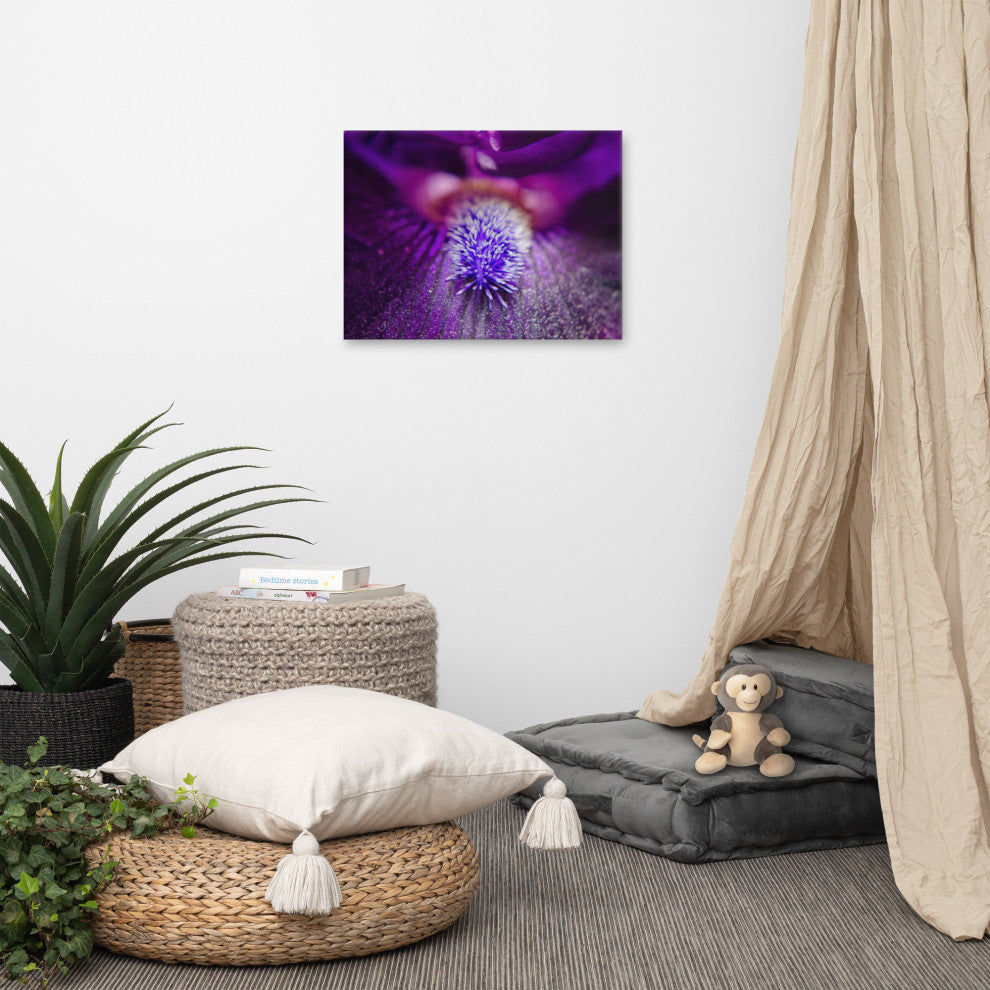 Eye of Iris Floral Nature Photography Canvas Wall Art Print, 18" X 24"