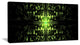 Green Butterfly Pattern on Black, Oversized Abstract Canvas Art Print, 60x28
