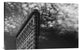 "Nyc, Flatiron" Stretched Canvas Giclee by Francesco Santini, 30"x20"