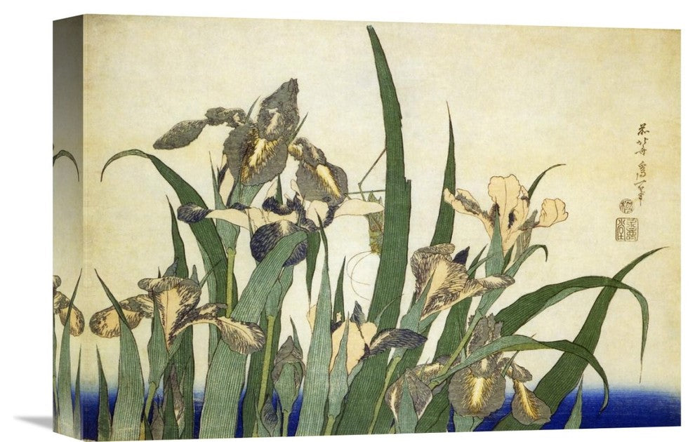 "Irises" Stretched Canvas Giclee by Hokusai, 16"x11"