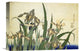 "Irises" Stretched Canvas Giclee by Hokusai, 16"x11"