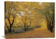 "Autumn Gold" Artwork, 32" x 24"