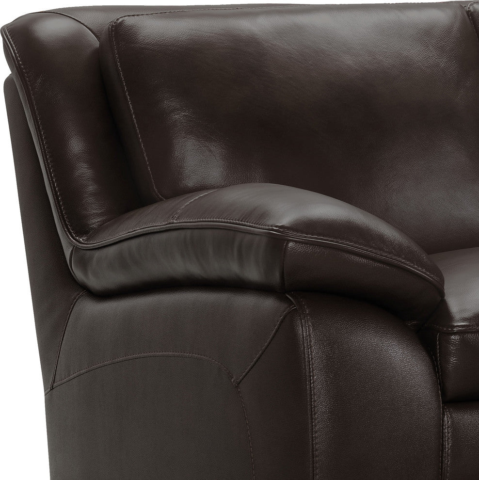 Zanna Modern Hardwood and Dark Brown Leather Sofa