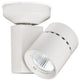 WAC Lighting Exterminator II LED Monopoint, White